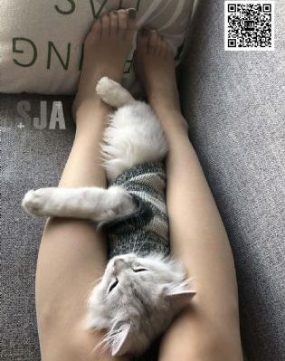 爱欲学校电影_1080P在线观看电视